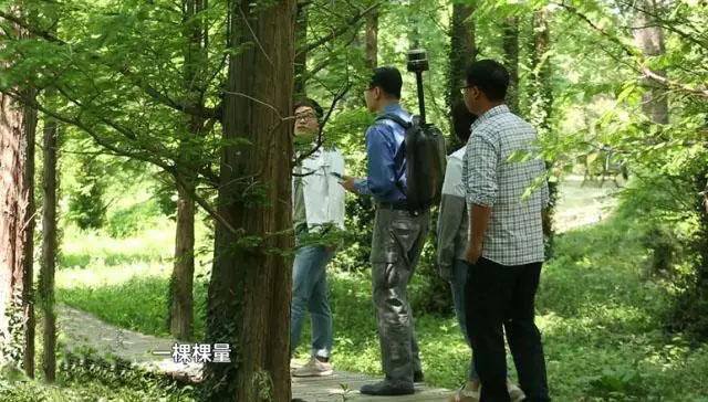 數(shù)字綠土：激光雷達(dá)&ldquo;慧眼&rdquo;探大地