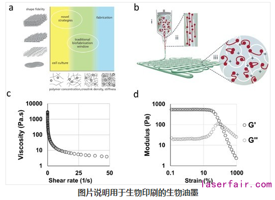 以專業(yè)論文分析，生物3D打印的現(xiàn)狀和前景