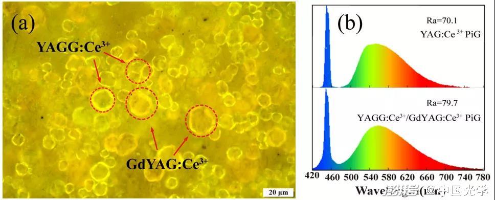 圖1：YAGG:Ce3?/GdYAG:Ce3?復合熒光玻璃的（a）微觀結(jié)構(gòu)及（b）與藍色激光組合的發(fā)射光譜