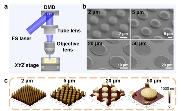 理化所在飛秒激光無掩膜光刻拓撲結(jié)構(gòu)及細胞球浸潤機制方面獲進展