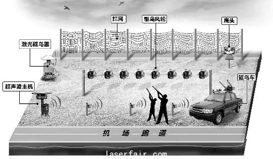 浙江在線05月18日訊