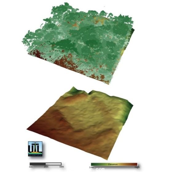 　上圖為研究人員繪制的林木線，下圖為&ldquo;看穿&rdquo;樹(shù)蔭后揭示的地面 