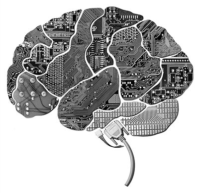 人類大腦項(xiàng)目